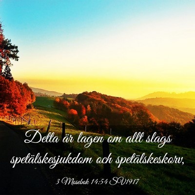 Picture 03 - 3 Mosebok 14:54 SV1917 - Detta är lagen om allt slags spetälskesjukdom - Bible Verse Picture