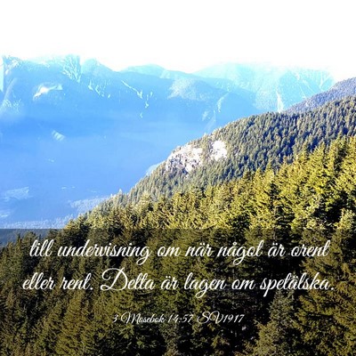 Picture 03 - 3 Mosebok 14:57 SV1917 - till undervisning om när något är orent eller - Bible Verse Picture