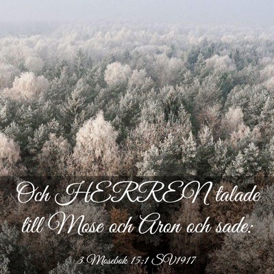 Picture 03 - 3 Mosebok 15:1 SV1917 - Och HERREN talade till Mose och Aron och - Bible Verse Picture