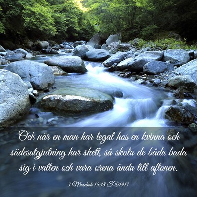 Picture 03 - 3 Mosebok 15:18 SV1917 - Och när en man har legat hos en kvinna och - Bible Verse Picture