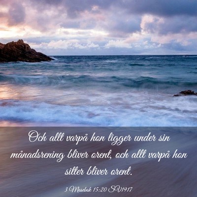 Picture 03 - 3 Mosebok 15:20 SV1917 - Och allt varpå hon ligger under sin - Bible Verse Picture