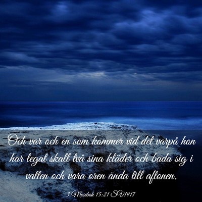 Picture 03 - 3 Mosebok 15:21 SV1917 - Och var och en som kommer vid det varpå hon har - Bible Verse Picture