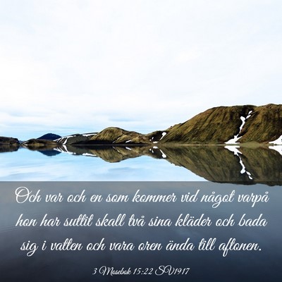 Picture 03 - 3 Mosebok 15:22 SV1917 - Och var och en som kommer vid något varpå hon - Bible Verse Picture