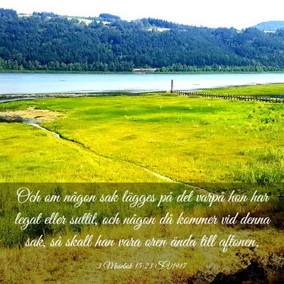 Picture 03 - 3 Mosebok 15:23 SV1917 - Och om någon sak lägges på det varpå hon har - Bible Verse Picture