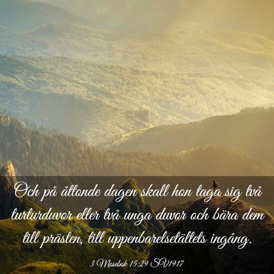 Picture 03 - 3 Mosebok 15:29 SV1917 - Och på åttonde dagen skall hon taga sig två - Bible Verse Picture