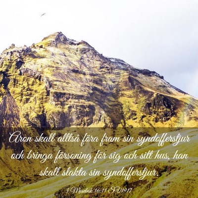 Picture 03 - 3 Mosebok 16:11 SV1917 - Aron skall alltså föra fram sin syndofferstjur - Bible Verse Picture