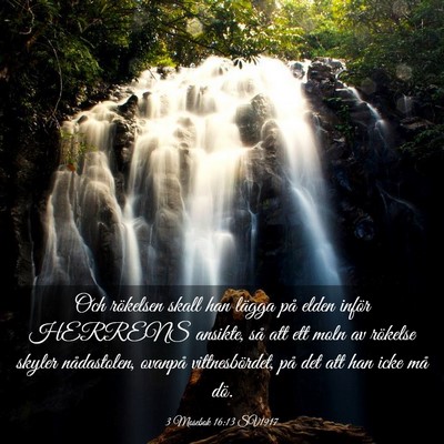 Picture 03 - 3 Mosebok 16:13 SV1917 - Och rökelsen skall han lägga på elden inför - Bible Verse Picture