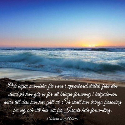 Picture 03 - 3 Mosebok 16:17 SV1917 - Och ingen människa får vara i - Bible Verse Picture