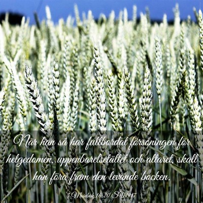 Picture 03 - 3 Mosebok 16:20 SV1917 - När han så har fullbordat försoningen för - Bible Verse Picture