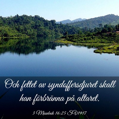 Picture 03 - 3 Mosebok 16:25 SV1917 - Och fettet av syndoffersdjuret skall han - Bible Verse Picture