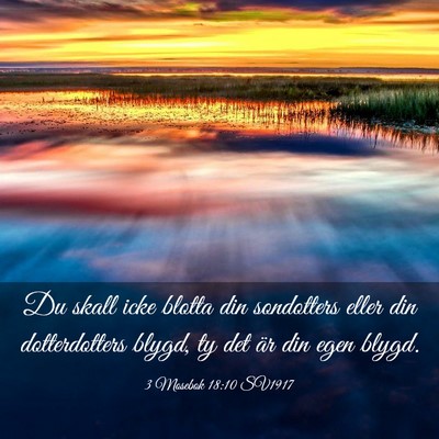Picture 03 - 3 Mosebok 18:10 SV1917 - Du skall icke blotta din sondotters eller din - Bible Verse Picture