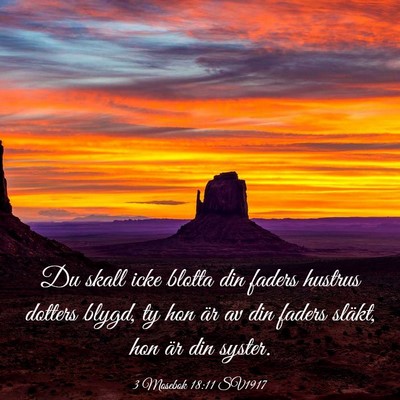 Picture 03 - 3 Mosebok 18:11 SV1917 - Du skall icke blotta din faders hustrus dotters - Bible Verse Picture