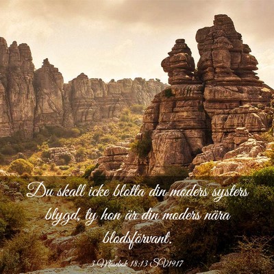 Picture 03 - 3 Mosebok 18:13 SV1917 - Du skall icke blotta din moders systers blygd, ty - Bible Verse Picture