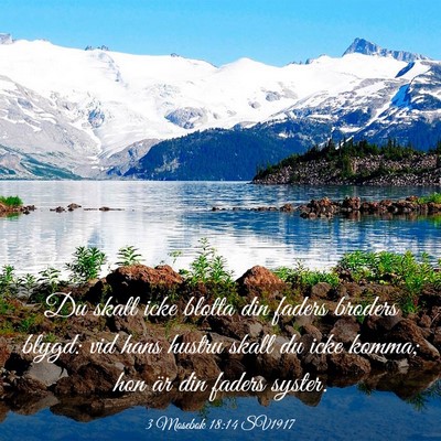Picture 03 - 3 Mosebok 18:14 SV1917 - Du skall icke blotta din faders broders blygd: - Bible Verse Picture