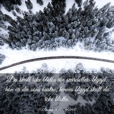 Picture 03 - 3 Mosebok 18:15 SV1917 - Du skall icke blotta din svärdotters blygd; hon - Bible Verse Picture