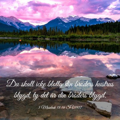 Picture 03 - 3 Mosebok 18:16 SV1917 - Du skall icke blotta din broders hustrus blygd, - Bible Verse Picture