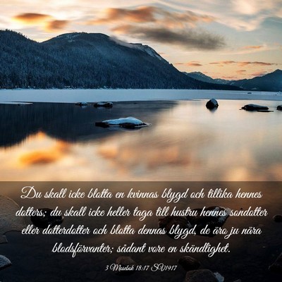 Picture 03 - 3 Mosebok 18:17 SV1917 - Du skall icke blotta en kvinnas blygd och tillika - Bible Verse Picture