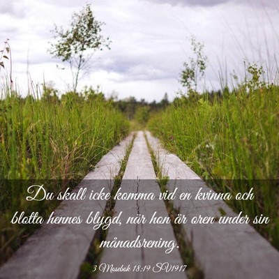 Picture 03 - 3 Mosebok 18:19 SV1917 - Du skall icke komma vid en kvinna och blotta - Bible Verse Picture