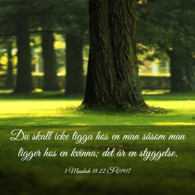 Picture 03 - 3 Mosebok 18:22 SV1917 - Du skall icke ligga hos en man såsom man ligger - Bible Verse Picture
