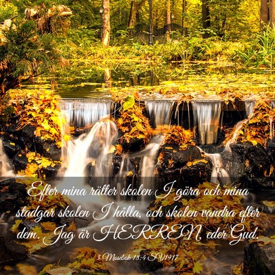 Picture 03 - 3 Mosebok 18:4 SV1917 - Efter mina rätter skolen I göra och mina - Bible Verse Picture