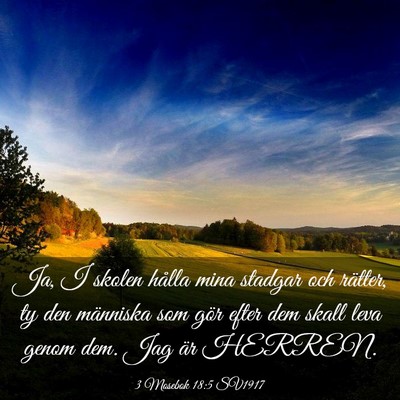 Picture 03 - 3 Mosebok 18:5 SV1917 - Ja, I skolen hålla mina stadgar och rätter, ty - Bible Verse Picture