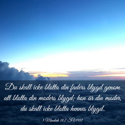 Picture 03 - 3 Mosebok 18:7 SV1917 - Du skall icke blotta din faders blygd genom att - Bible Verse Picture
