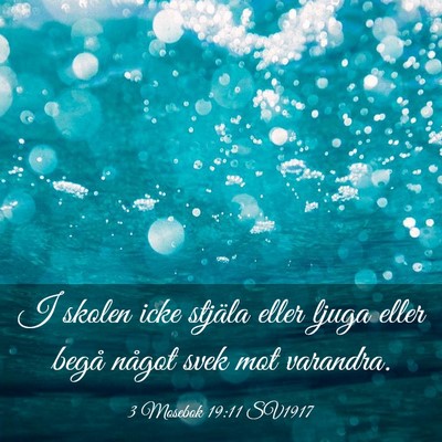 Picture 03 - 3 Mosebok 19:11 SV1917 - I skolen icke stjäla eller ljuga eller begå - Bible Verse Picture