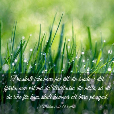 Picture 03 - 3 Mosebok 19:17 SV1917 - Du skall icke hava hat till din broder i ditt - Bible Verse Picture
