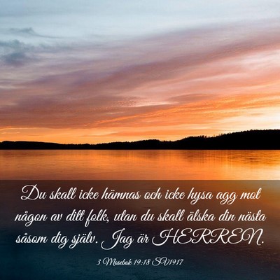 Picture 03 - 3 Mosebok 19:18 SV1917 - Du skall icke hämnas och icke hysa agg mot - Bible Verse Picture