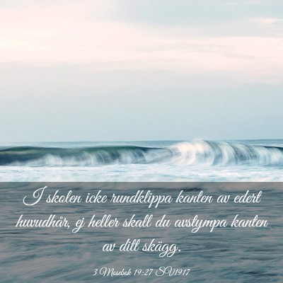 Picture 03 - 3 Mosebok 19:27 SV1917 - I skolen icke rundklippa kanten av edert - Bible Verse Picture