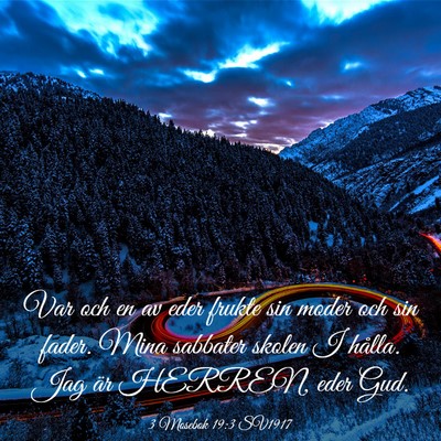 Picture 03 - 3 Mosebok 19:3 SV1917 - Var och en av eder frukte sin moder och sin - Bible Verse Picture