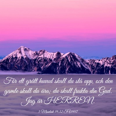 Picture 03 - 3 Mosebok 19:32 SV1917 - För ett grått huvud skall du stå upp, och den - Bible Verse Picture