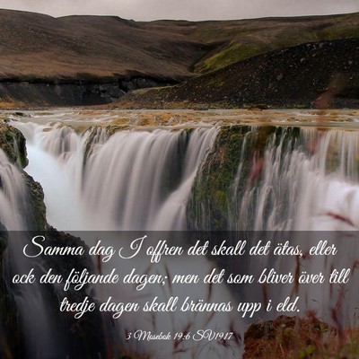 Picture 03 - 3 Mosebok 19:6 SV1917 - Samma dag I offren det skall det ätas, eller ock - Bible Verse Picture