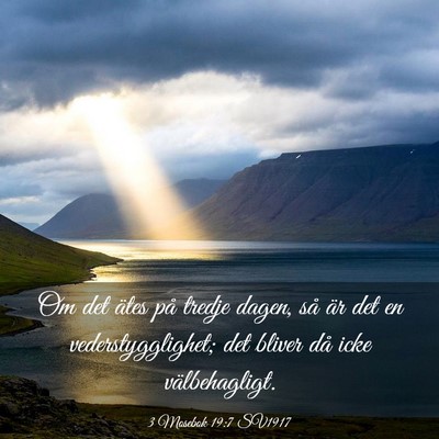 Picture 03 - 3 Mosebok 19:7 SV1917 - Om det ätes på tredje dagen, så är det en - Bible Verse Picture