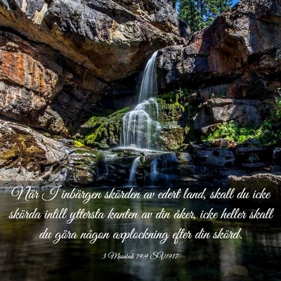 Picture 03 - 3 Mosebok 19:9 SV1917 - När I inbärgen skörden av edert land, skall du - Bible Verse Picture