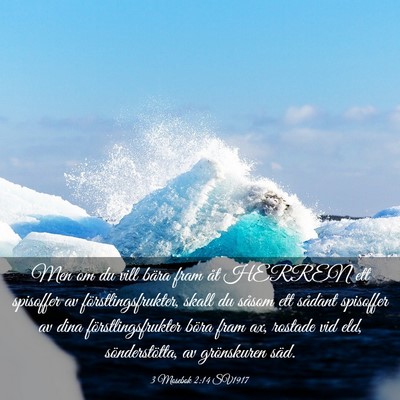 Picture 03 - 3 Mosebok 2:14 SV1917 - Men om du vill bära fram åt HERREN ett - Bible Verse Picture