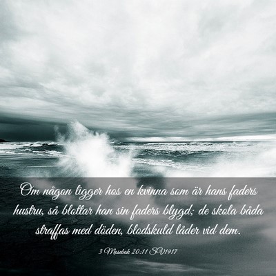Picture 03 - 3 Mosebok 20:11 SV1917 - Om någon ligger hos en kvinna som är hans - Bible Verse Picture