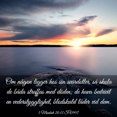 Picture 03 - 3 Mosebok 20:12 SV1917 - Om någon ligger hos sin svärdotter, så skola - Bible Verse Picture