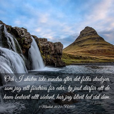 Picture 03 - 3 Mosebok 20:23 SV1917 - Och I skolen icke vandra efter det folks stadgar, - Bible Verse Picture