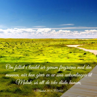 Picture 03 - 3 Mosebok 20:4 SV1917 - Om folket i landet ser genom fingrarna med den - Bible Verse Picture