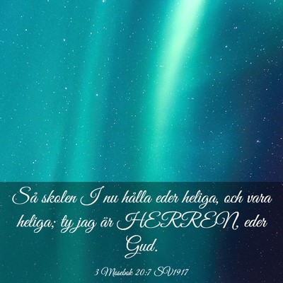 Picture 03 - 3 Mosebok 20:7 SV1917 - Så skolen I nu hålla eder heliga, och vara - Bible Verse Picture