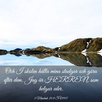 Picture 03 - 3 Mosebok 20:8 SV1917 - Och I skolen hålla mina stadgar och göra efter - Bible Verse Picture