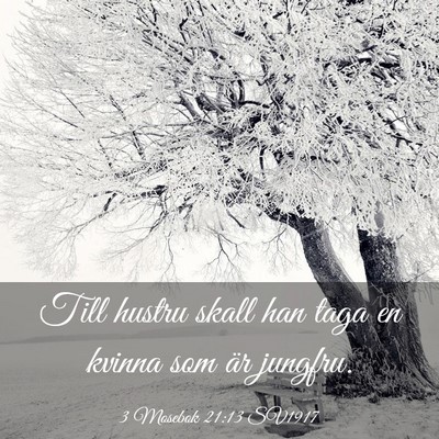 Picture 03 - 3 Mosebok 21:13 SV1917 - Till hustru skall han taga en kvinna som är - Bible Verse Picture