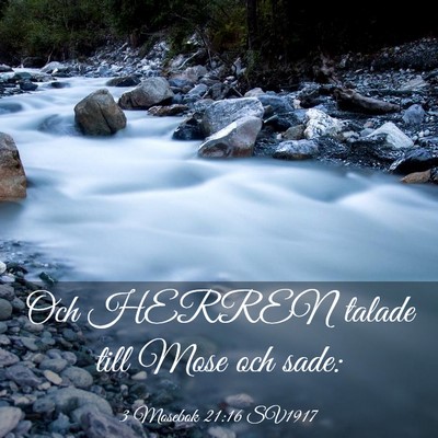 Picture 03 - 3 Mosebok 21:16 SV1917 - Och HERREN talade till Mose och - Bible Verse Picture