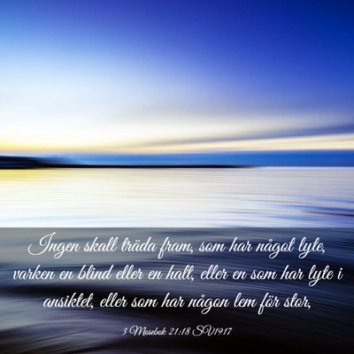 Picture 03 - 3 Mosebok 21:18 SV1917 - Ingen skall träda fram, som har något lyte, - Bible Verse Picture