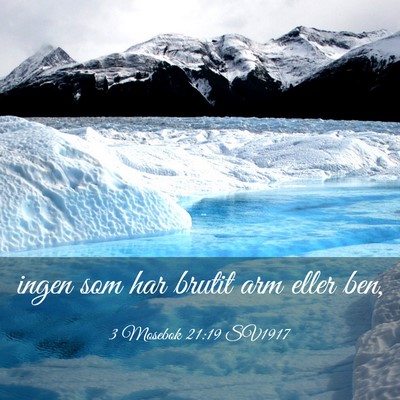 Picture 03 - 3 Mosebok 21:19 SV1917 - ingen som har brutit arm eller - Bible Verse Picture