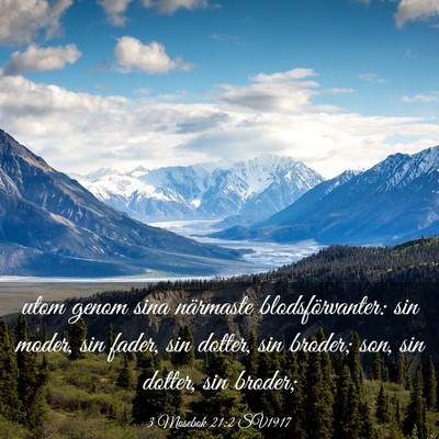 Picture 03 - 3 Mosebok 21:2 SV1917 - utom genom sina närmaste blodsförvanter: sin - Bible Verse Picture