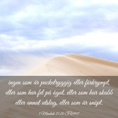 Picture 03 - 3 Mosebok 21:20 SV1917 - ingen som är puckelryggig eller förkrympt, - Bible Verse Picture