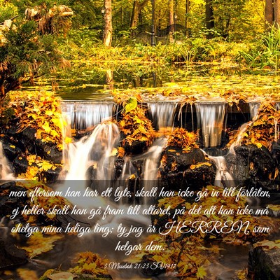 Picture 03 - 3 Mosebok 21:23 SV1917 - men eftersom han har ett lyte, skall han icke gå - Bible Verse Picture