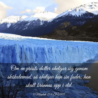 Picture 03 - 3 Mosebok 21:9 SV1917 - Om en prästs dotter ohelgar sig genom - Bible Verse Picture